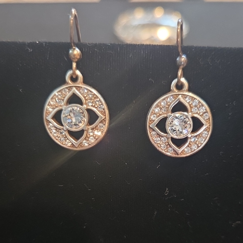 Elegant Gold and Silver Earrings